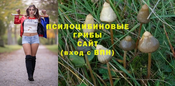spice Балабаново