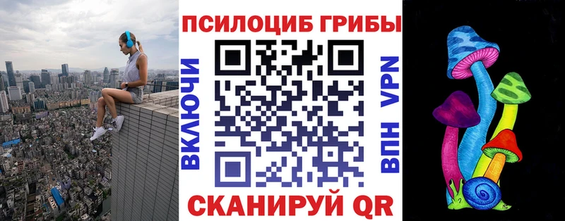 Галлюциногенные грибы Psilocybe  Красный Холм 